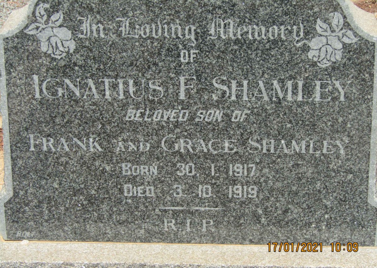 SHAMLEY Ignatius F. 1917-1919