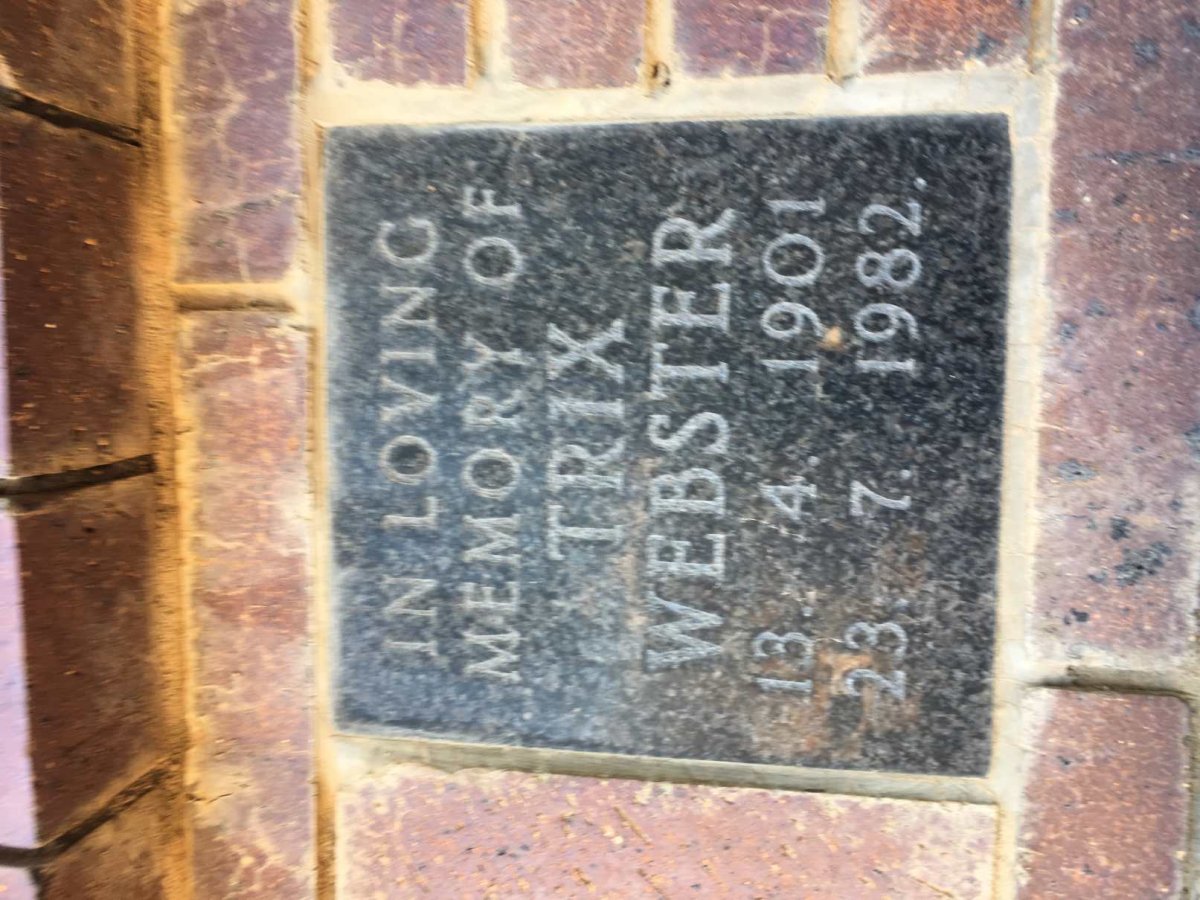 WEBSTER Trix 1901-1982