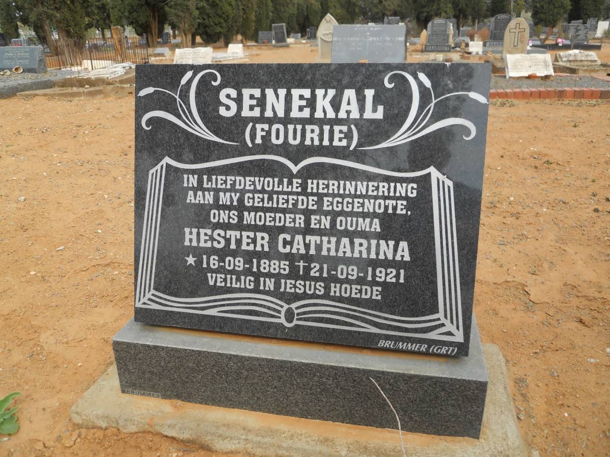 SENEKAL Hester Catharina nee FOURIE 1885-1921