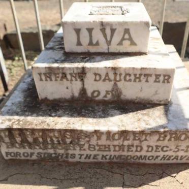 BROOK Ilva -1901