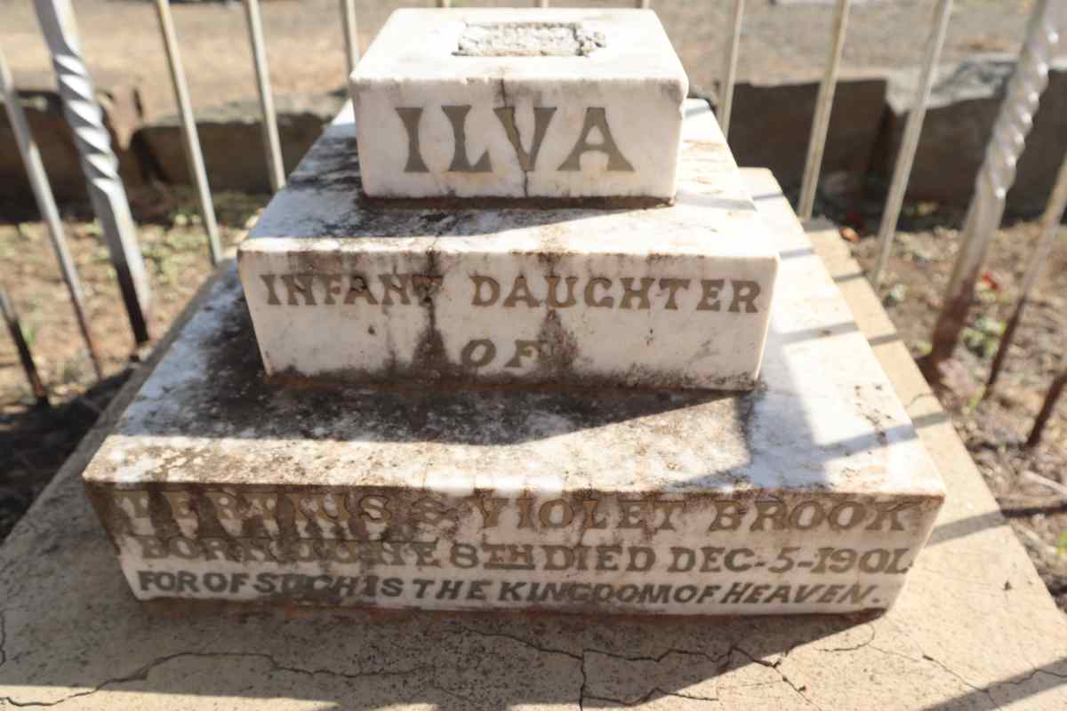 BROOK Ilva -1901