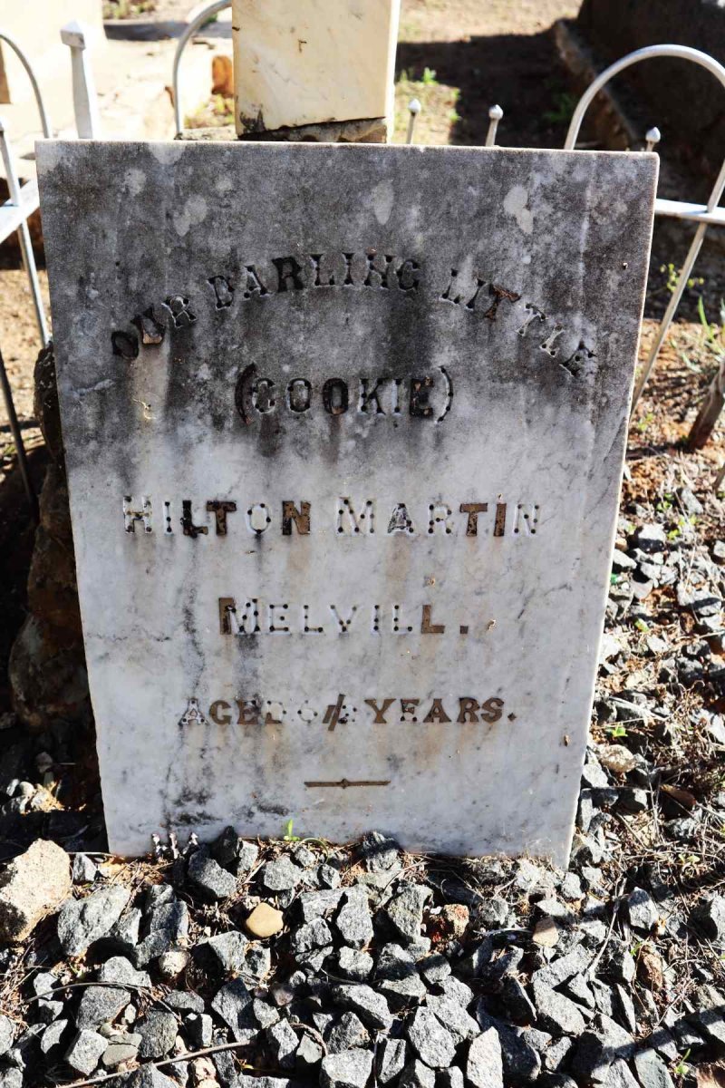 MELVILL Hilton Martin