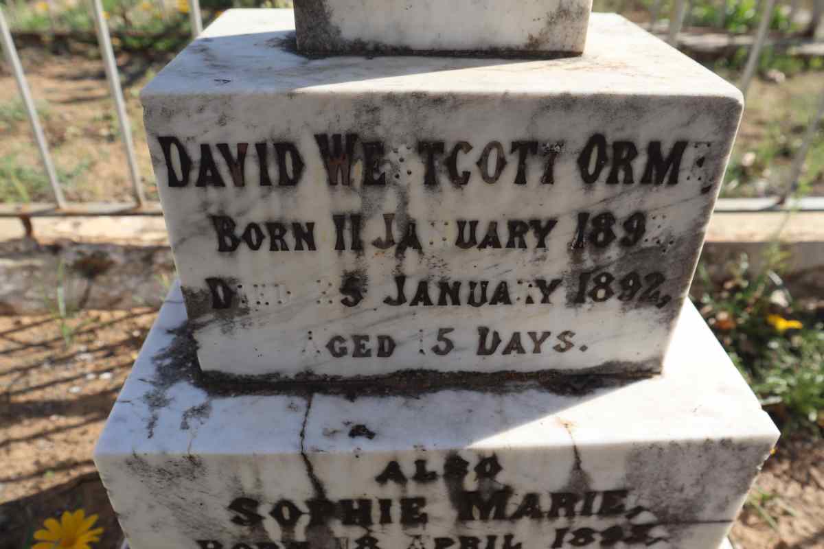 MORRIS David Westcott Orme 1892-1892 :: MORRIS Sophie Marie 1893-1893_2