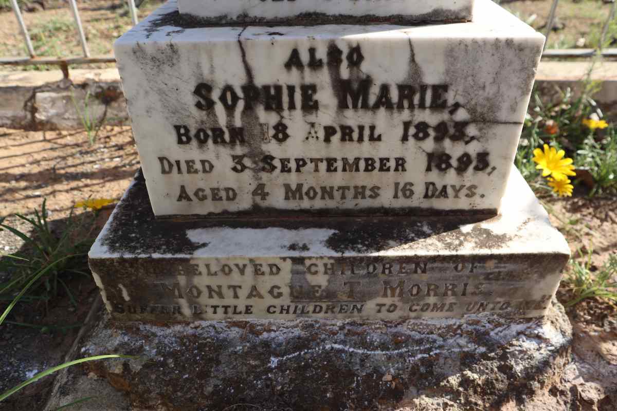 MORRIS David Westcott Orme 1892-1892 :: MORRIS Sophie Marie 1893-1893_3