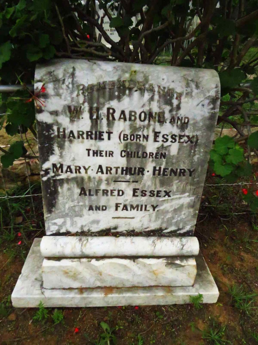 RABONE W.H. & Harriet ESSEX :: RABONE Mary :: RABONE Arthur :: RABONE Henry