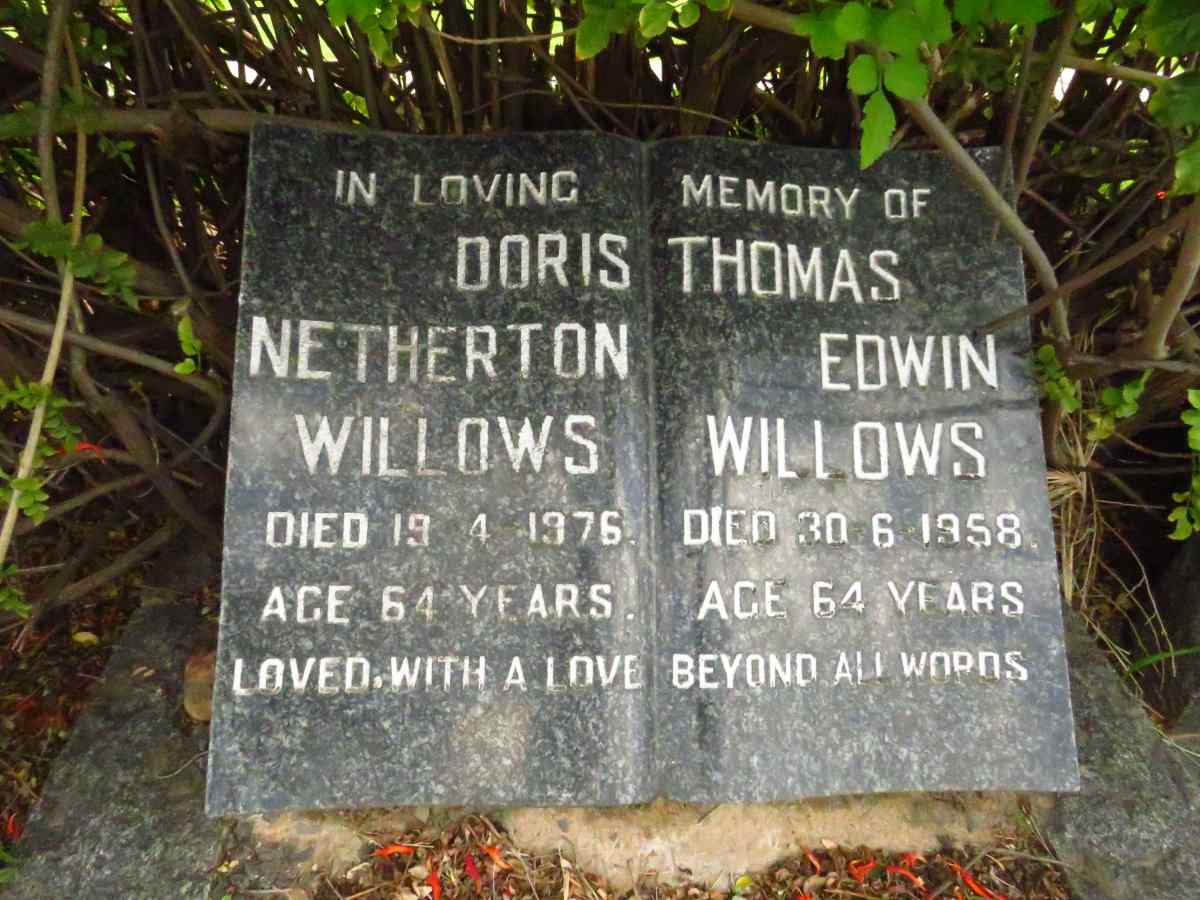WILLOWS Thomas Edwin -1958 & Doris Netherton -1976 