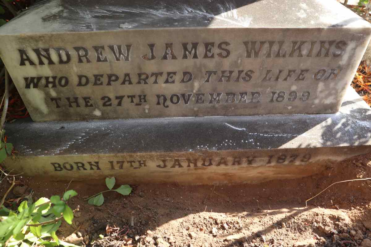 WILKINS Andrew James 1879-1899