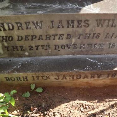 WILKINS Andrew James 1879-1899