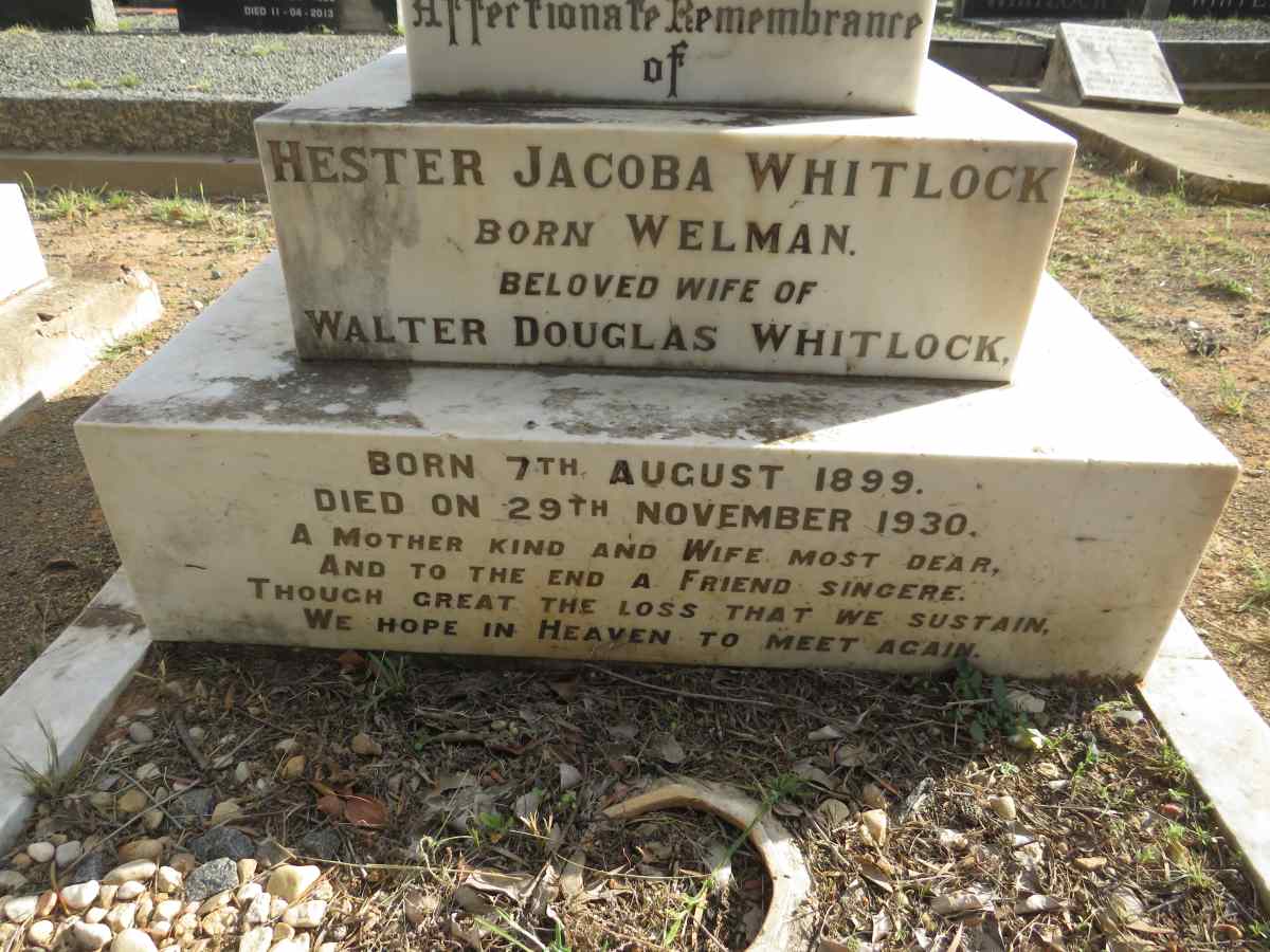 WHITLOCK Hester Jacoba nee WELMAN 1899-1930