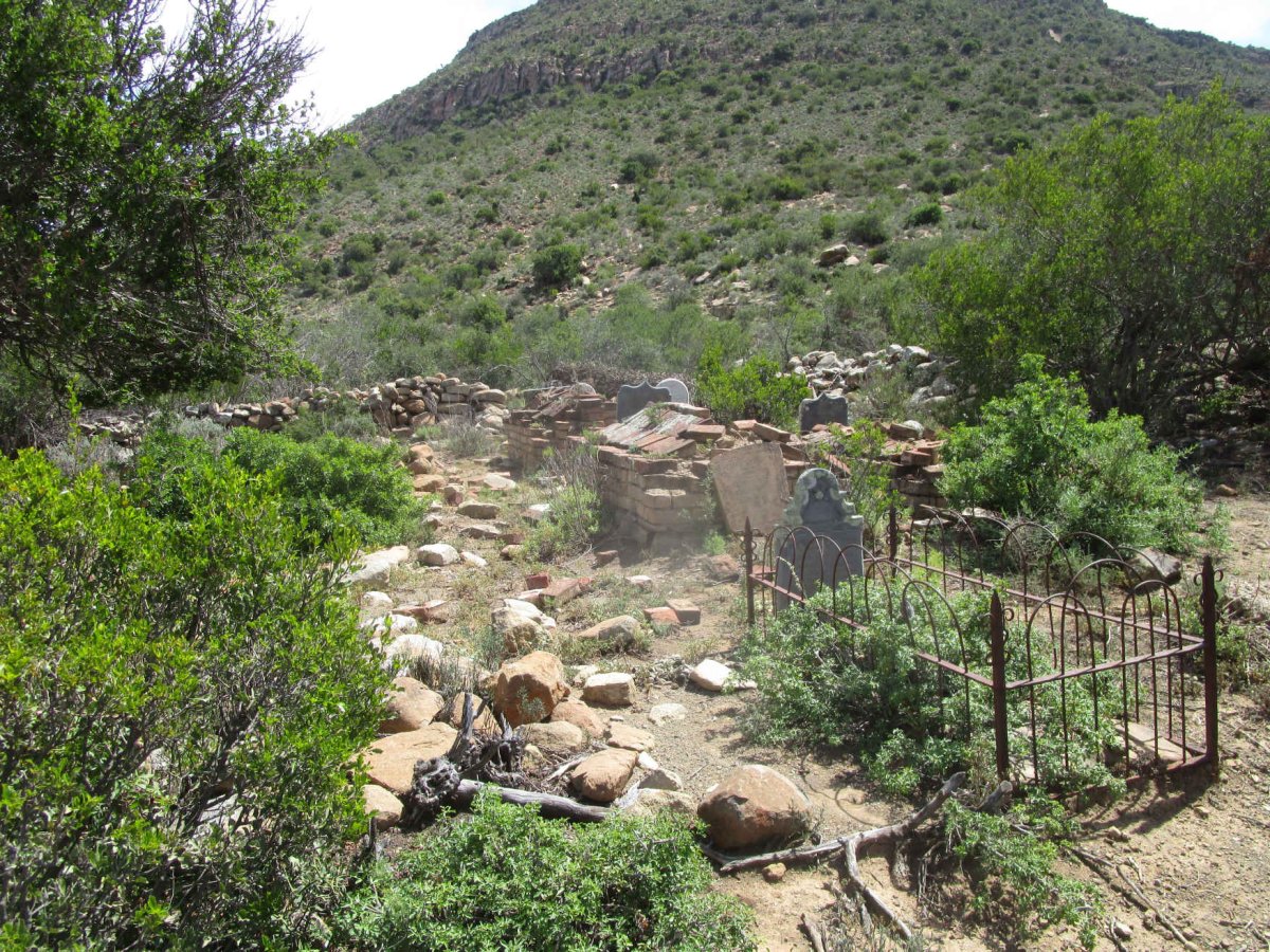 2. Overview / Oorsig