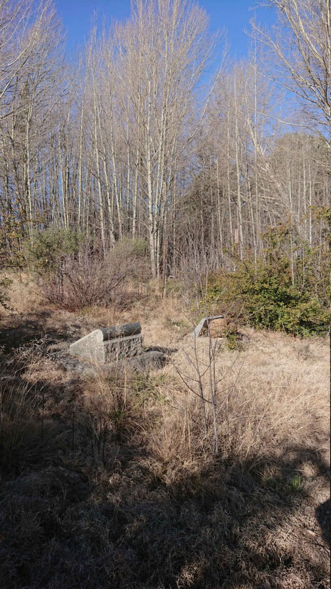 2. Overview / Oorsig
