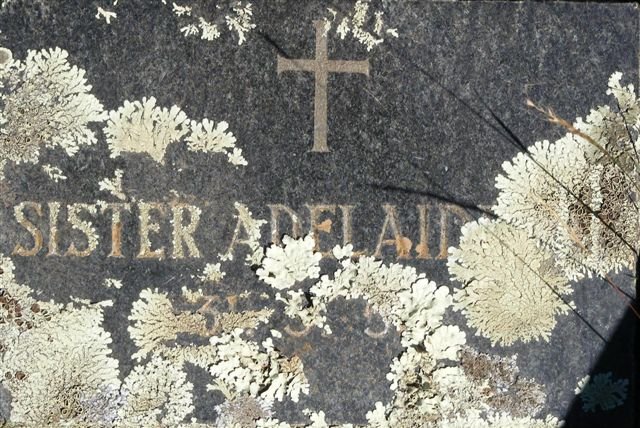 Sr Adelaide C.R.