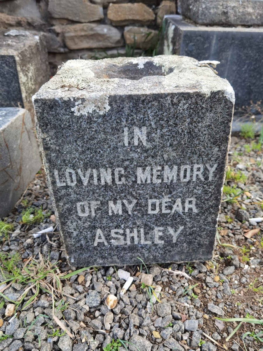 ? Ashley