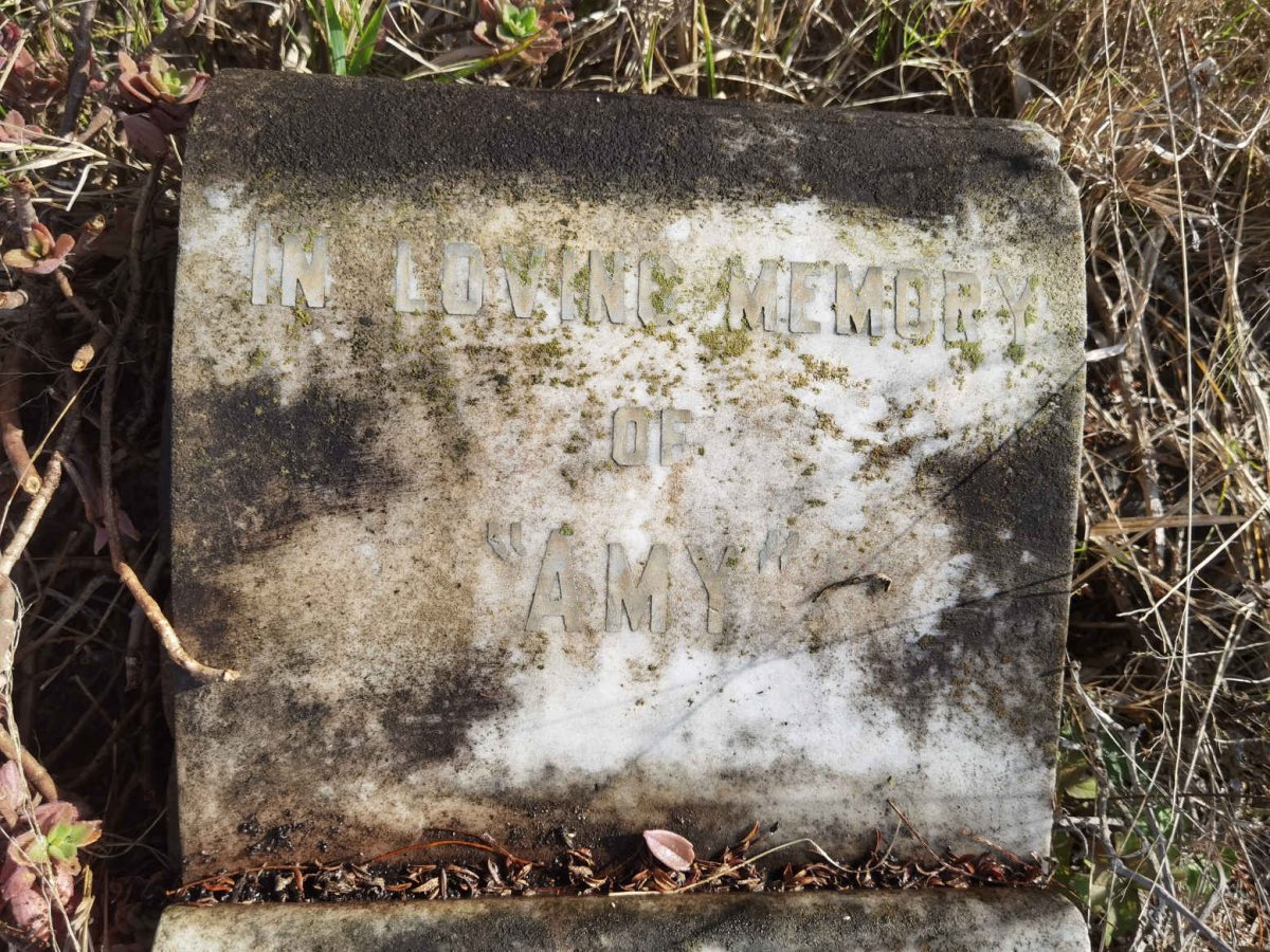 ? Amy