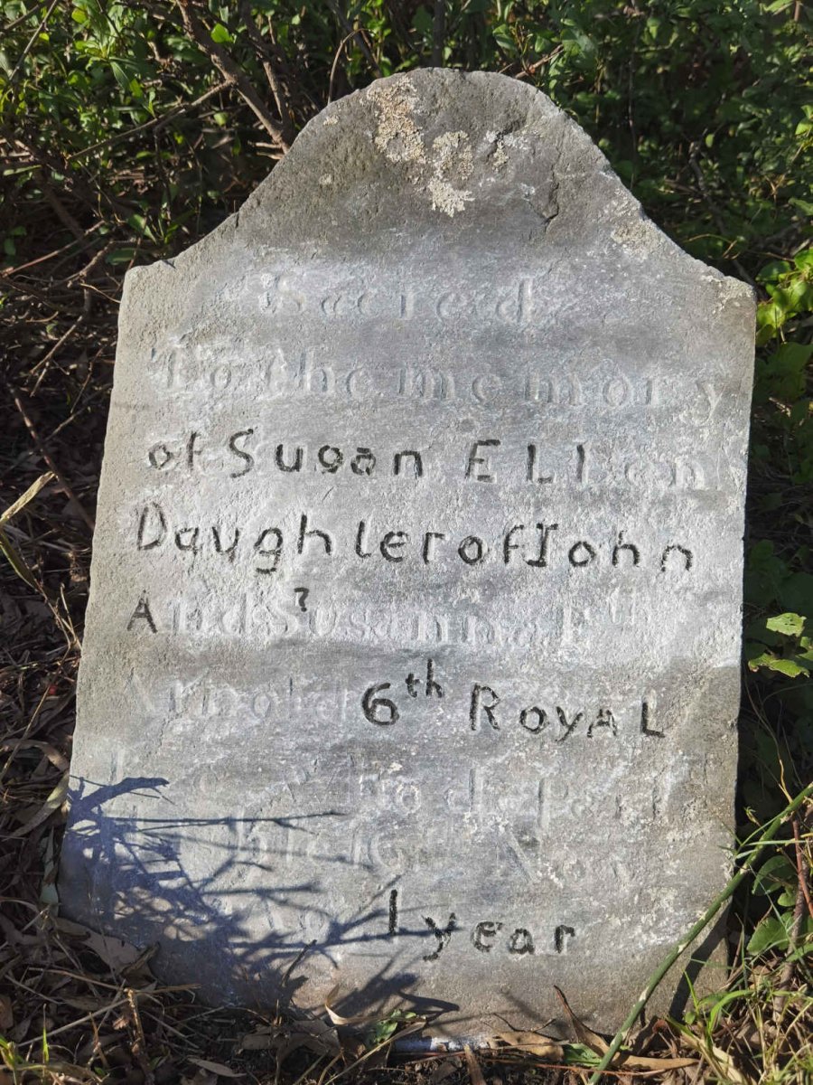 ARNOLD Susan Ellen -1855