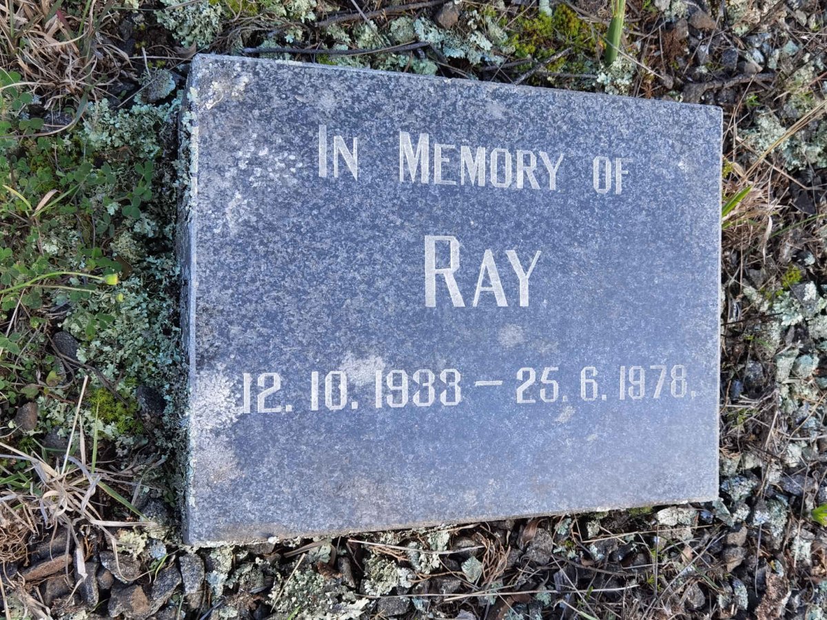 BILLSON Ray 1933-1978