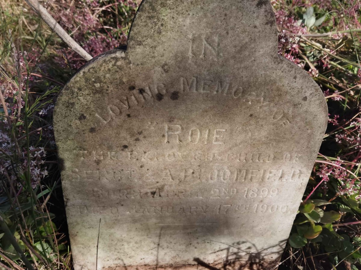 BLOOMFIELD Roie 1899-1900