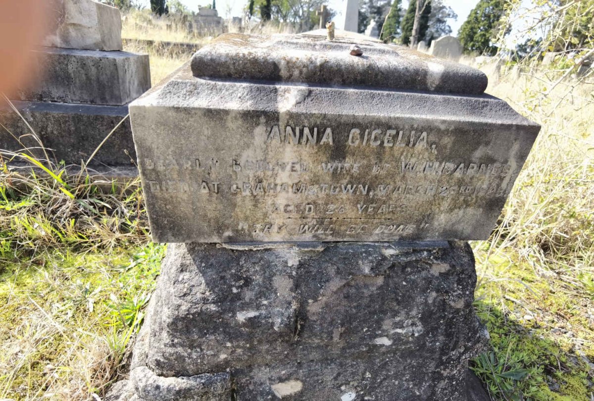 BARNES Anna Cicelia -1895
