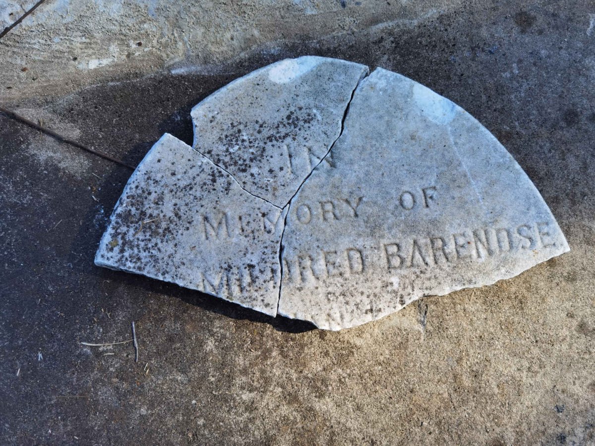 BARENDSE Mildred