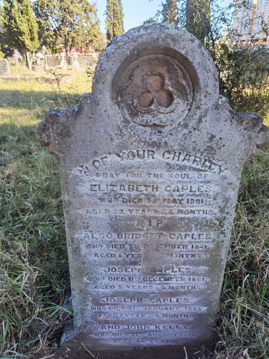 CAPLES Elizabeth -1881 :: CAPLES Bridget -1861 :: CAPLES Joseph -1861 :: CAPLES Joseph -1866 :: KELLY John -1876