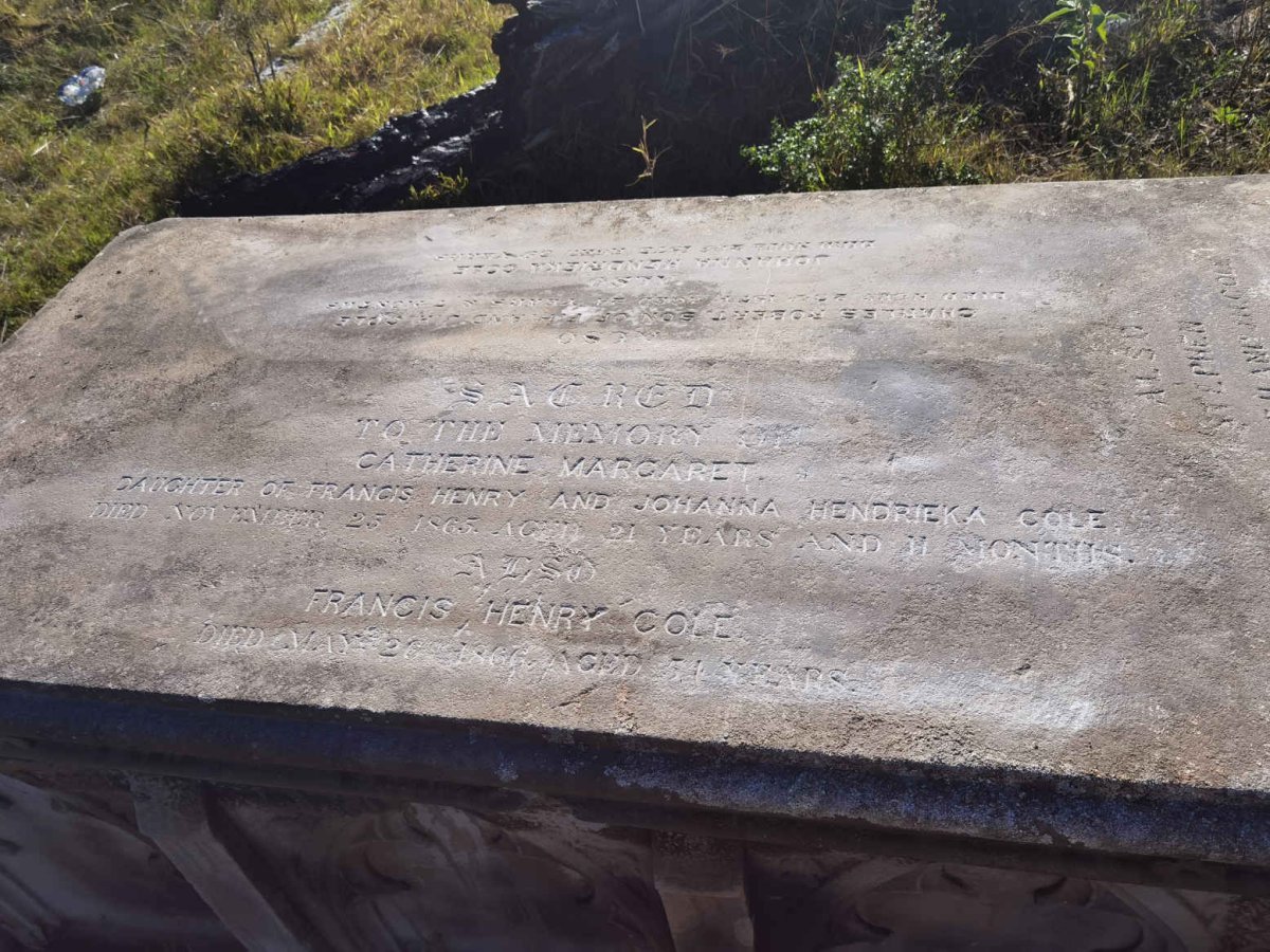 COLE Francis Henry -1866 :: COLE Johanna Hendrieka -1875 :: COLE Charles Robert -1874 :: COLE Catherine Margaret -1865 :: COLE Stephen -1870 _1