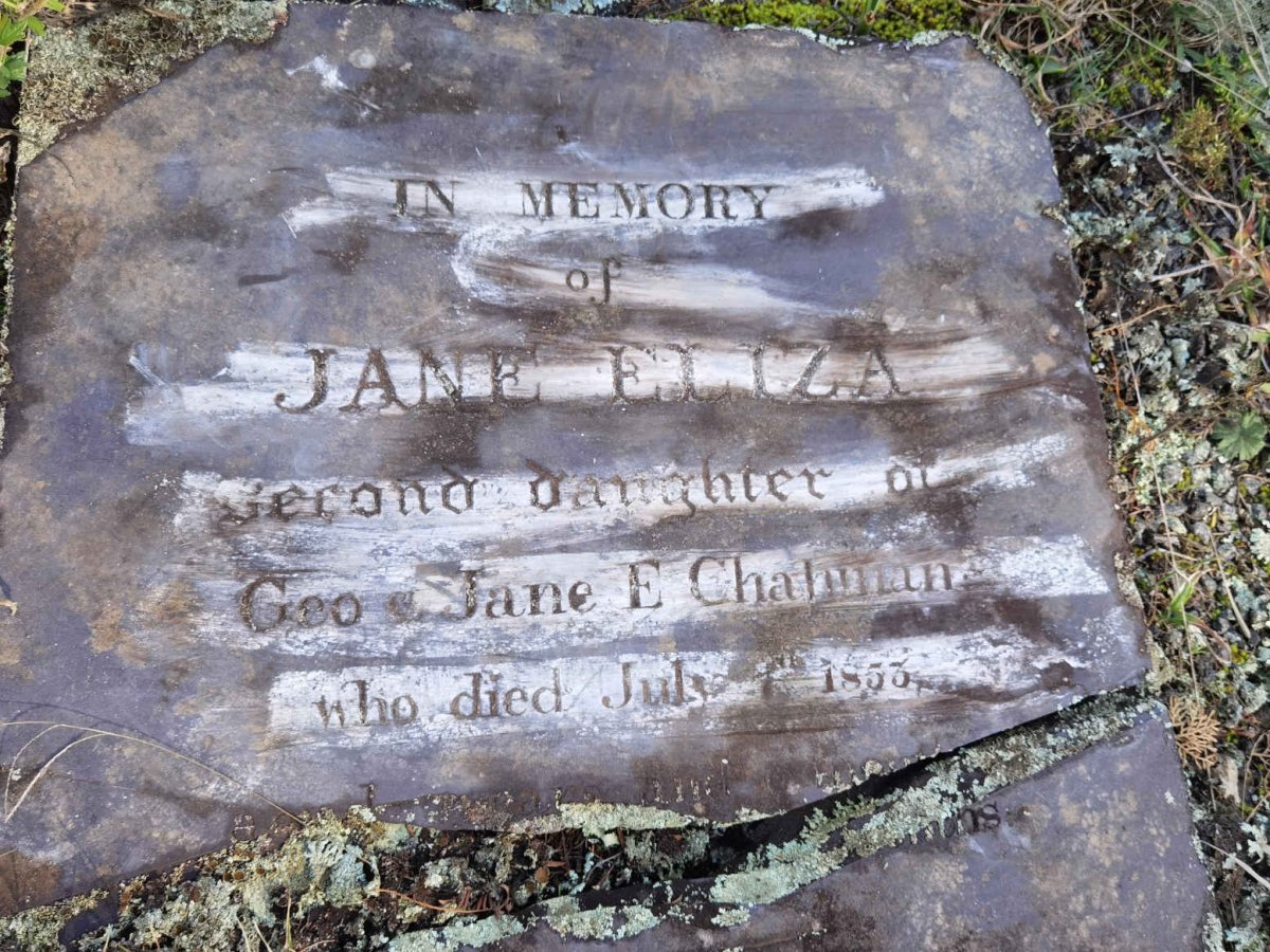 CHAPMAN Jane Eliza -1853
