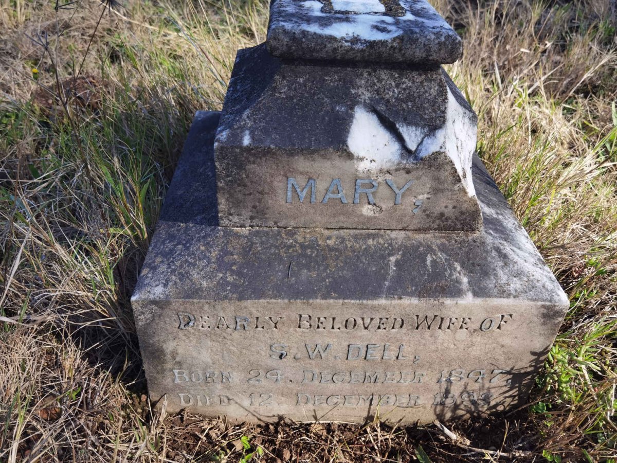 DELL Mary 1847-1892