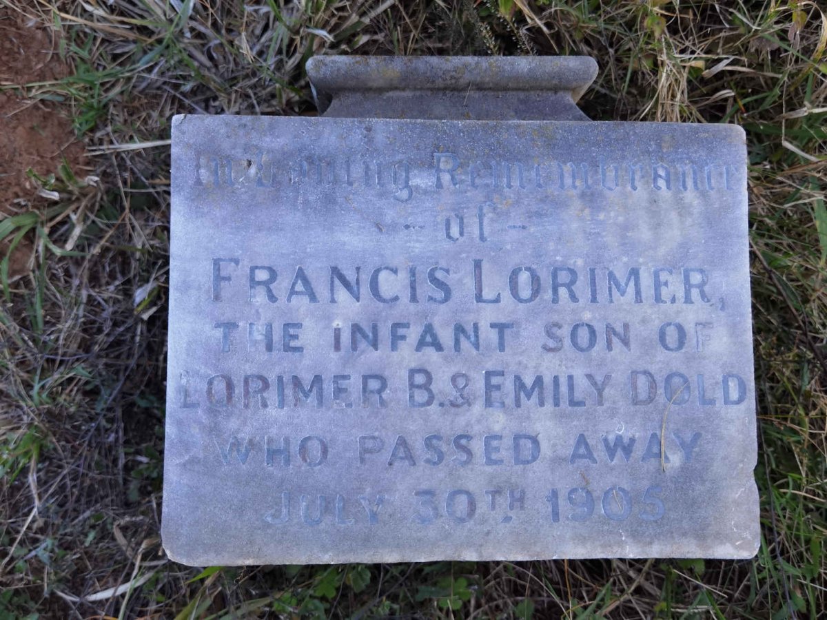 DOLD Francis Lorimer -1905
