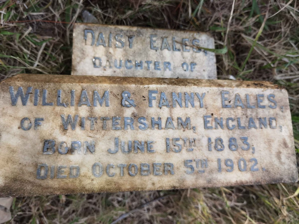 EALES Daisy 1883-1902
