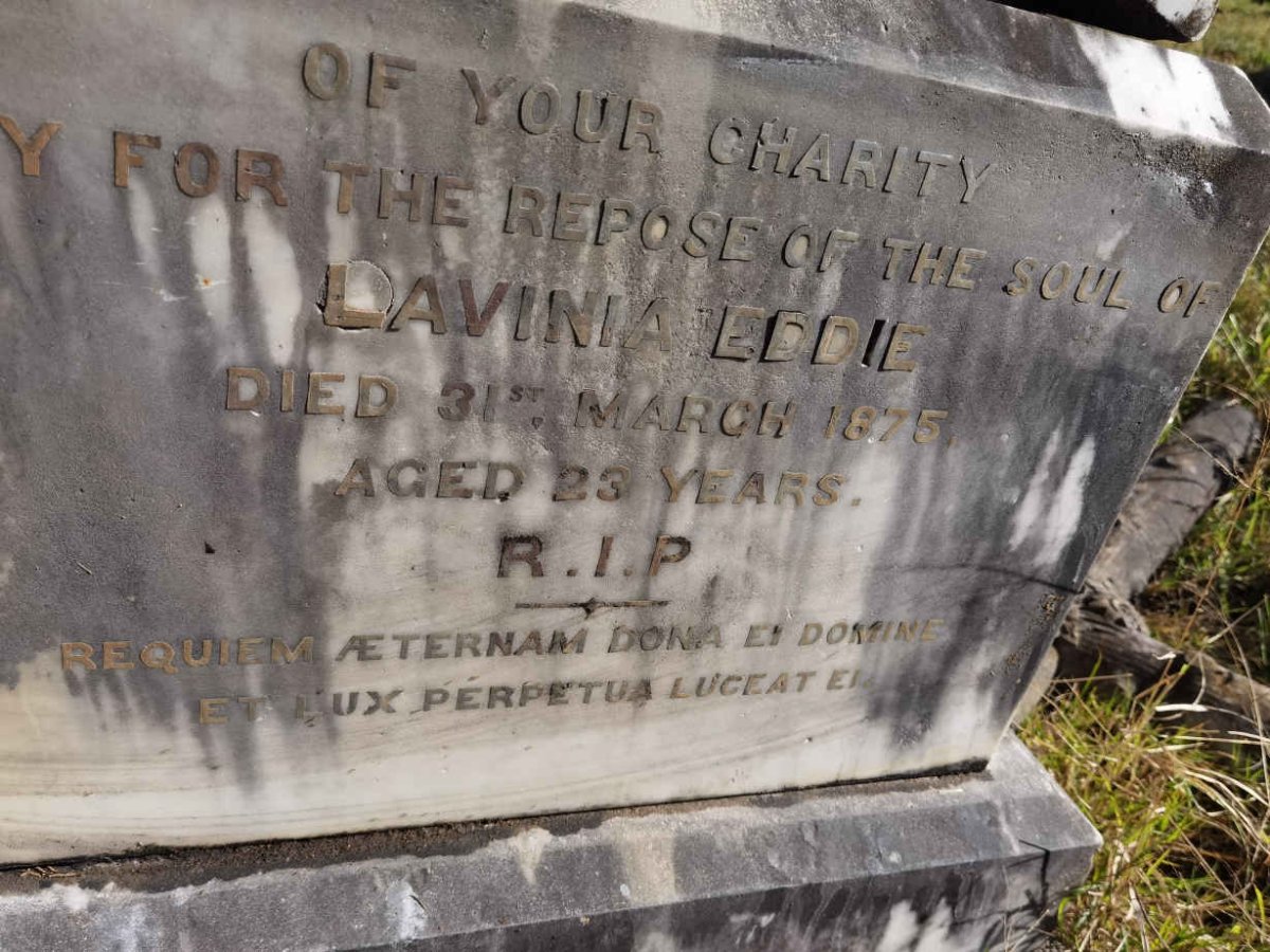 EDDIE Lavinia -1875