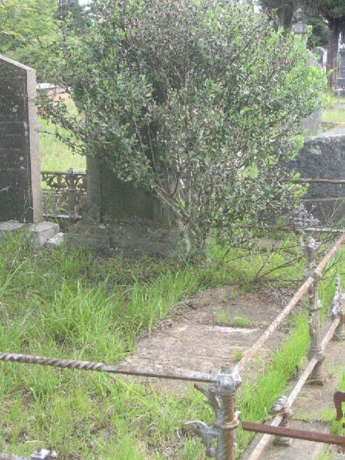 1. Overview of family plot