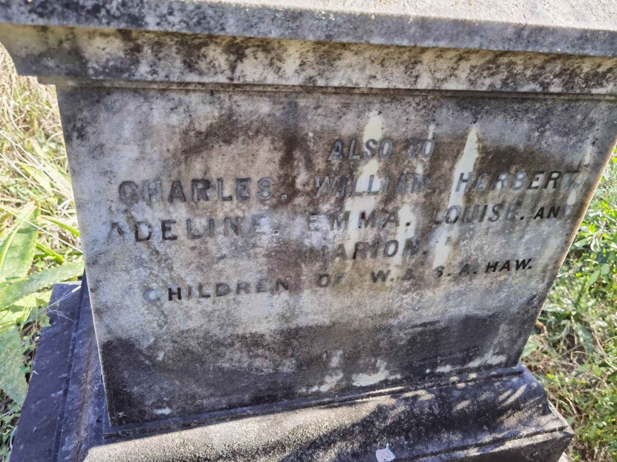 HAW Charles :: HAW William :: HAW Herbert :: HAW Adeline :: HAW Emma :: HAW Louise :: HAW Marion