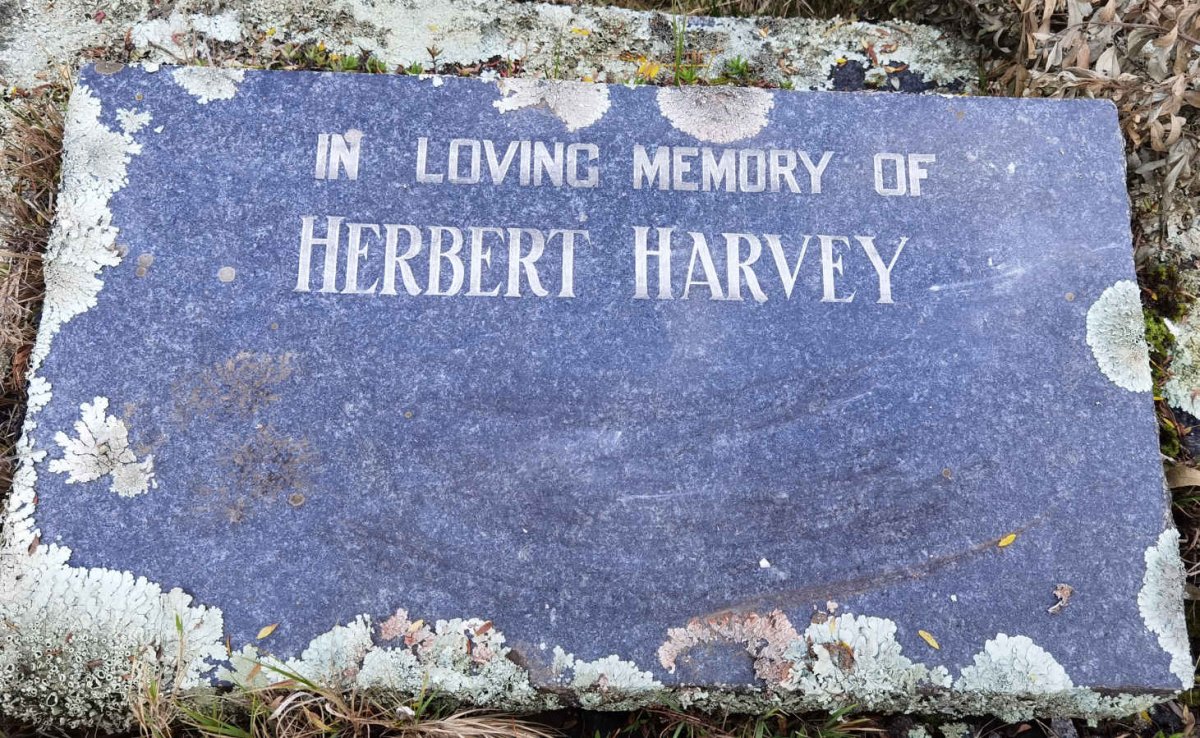 HARVEY Herbert