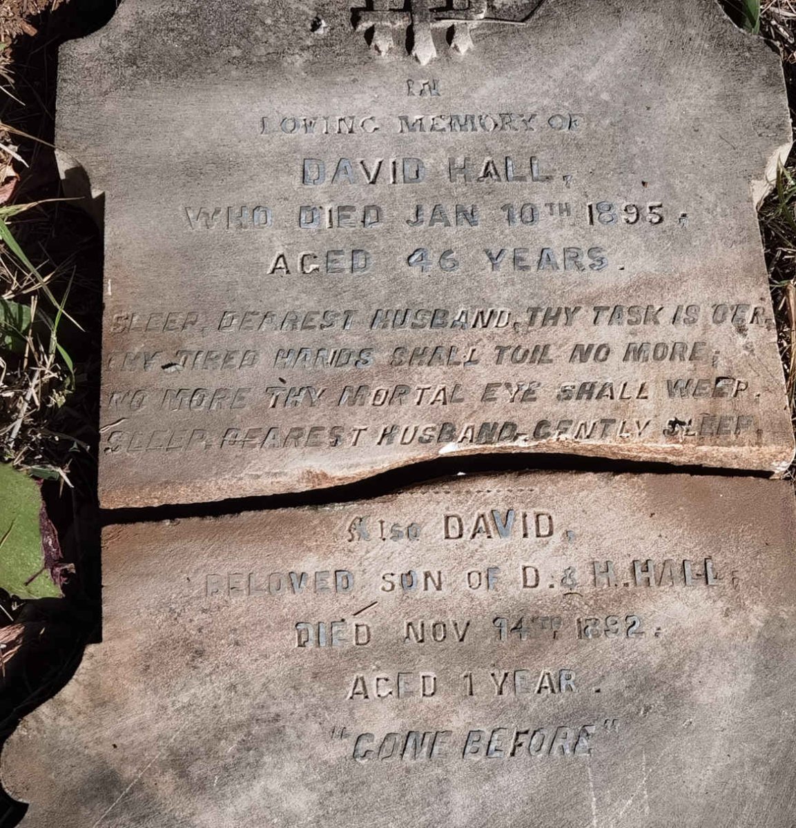 HALL David -1895 :: HALL David -1892
