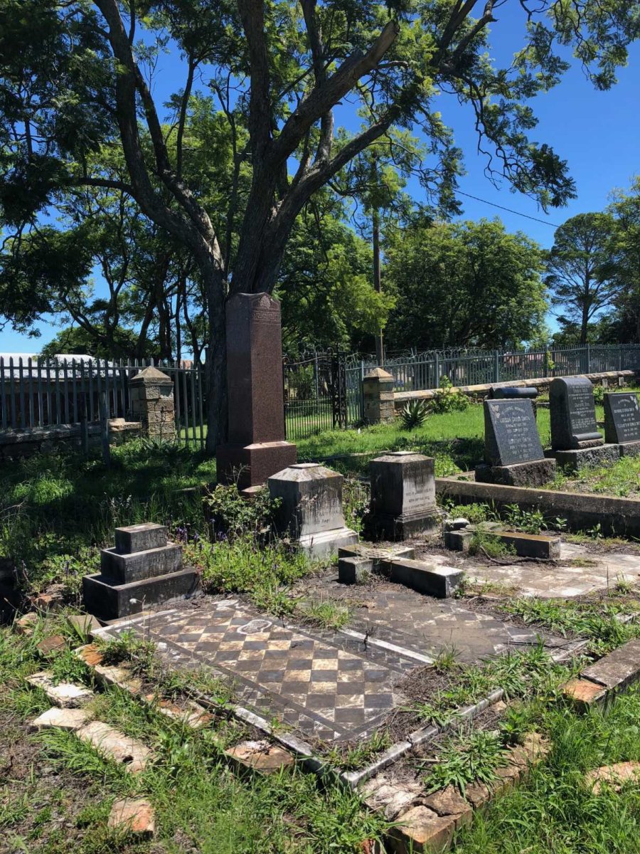 1. Overview HOLMES family plot