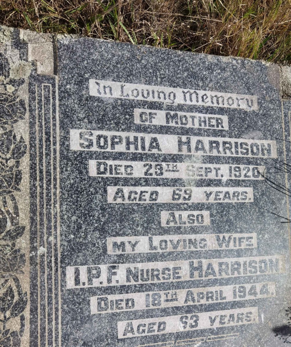 HARRISON Sophia -1920 :: HARRISON I.P.F. -1944