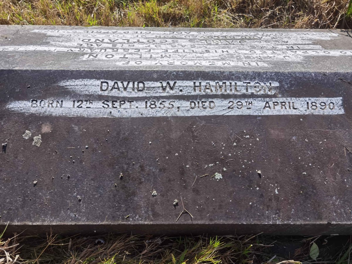 HAMILTON David W. 1855-1890