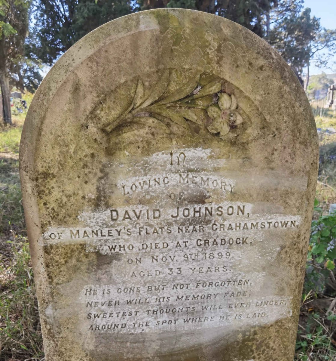 JOHNSON David -1899