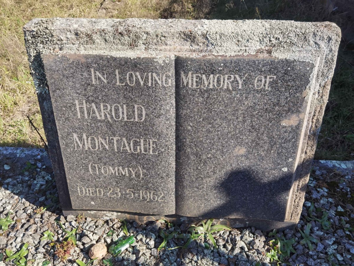 MONTAGUE Harold -1962