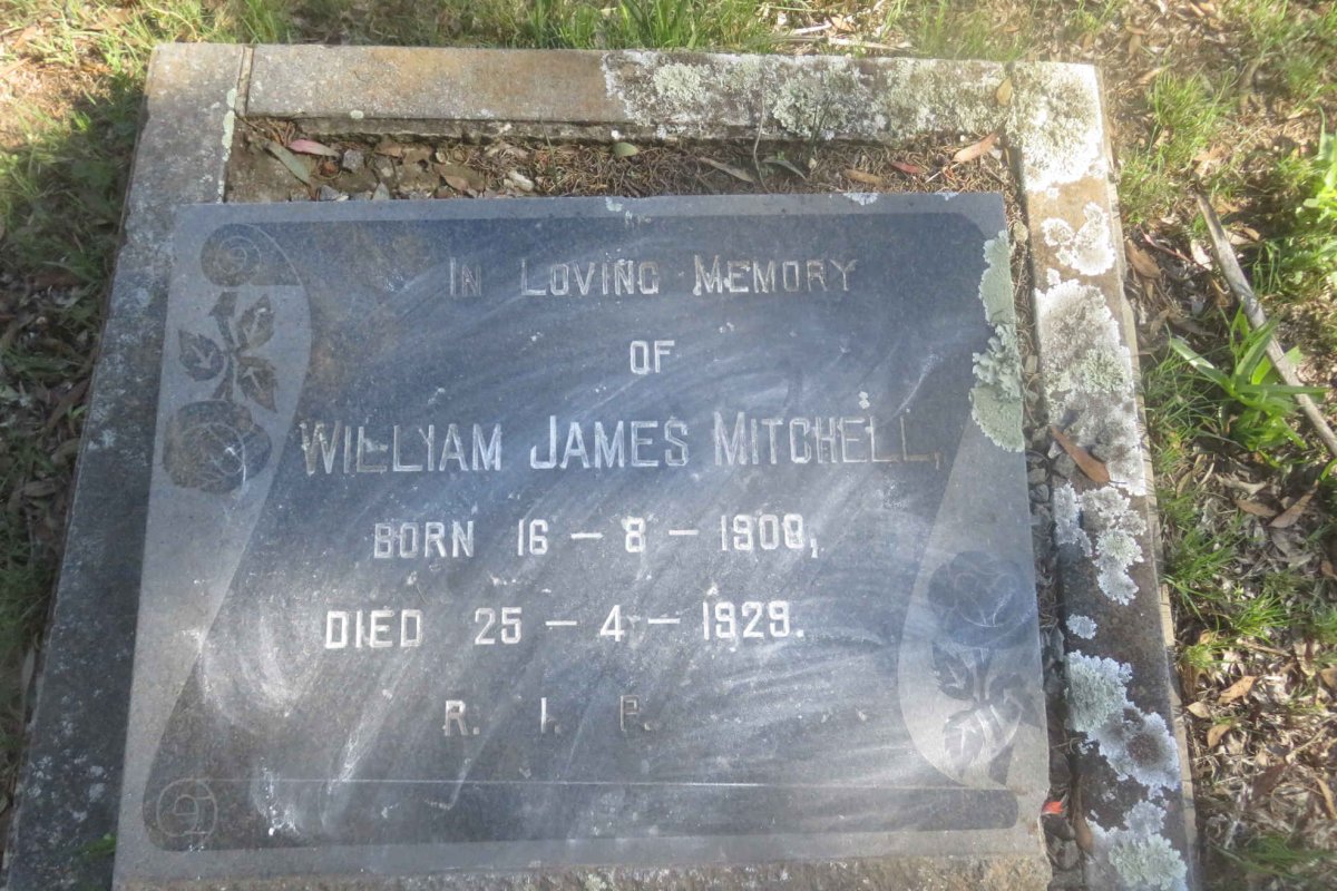 MITCHELL William James 1900-1929