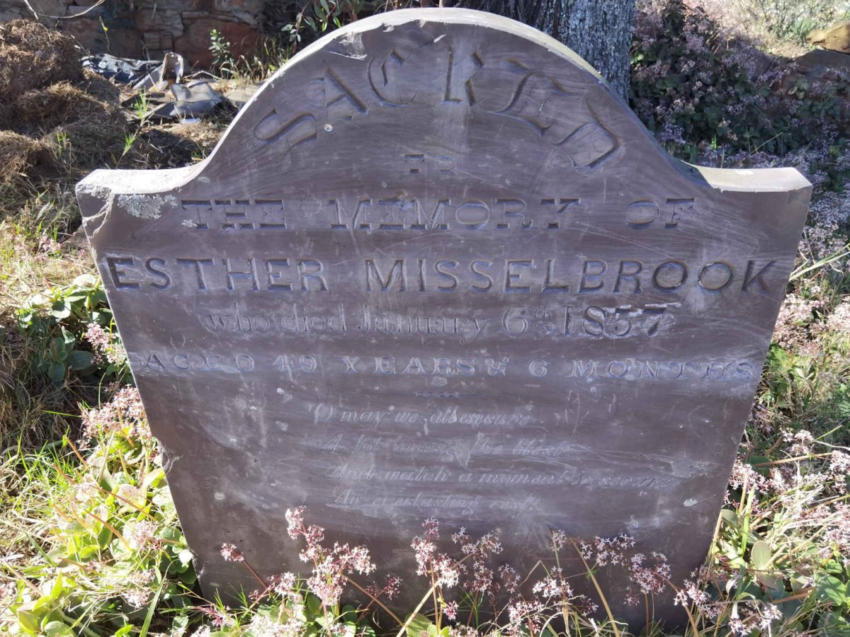 MISSELBROOK Esther -1857
