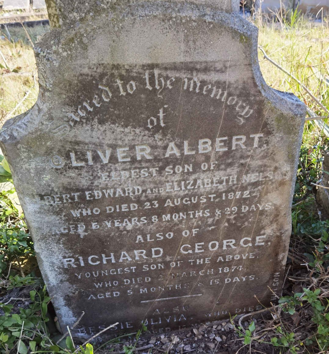 NELSON Oliver Albert -1872 :: NELSON Richard George -1874 :: NELSON Bessie Olivia -1873