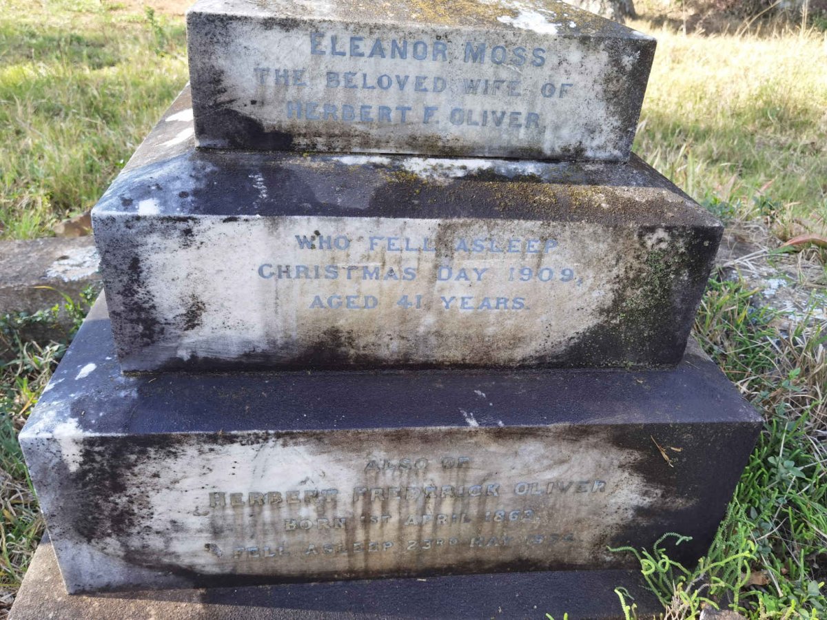 OLIVER Herbert Frederick 1863-1954 &amp; Eleanor Moss -1909