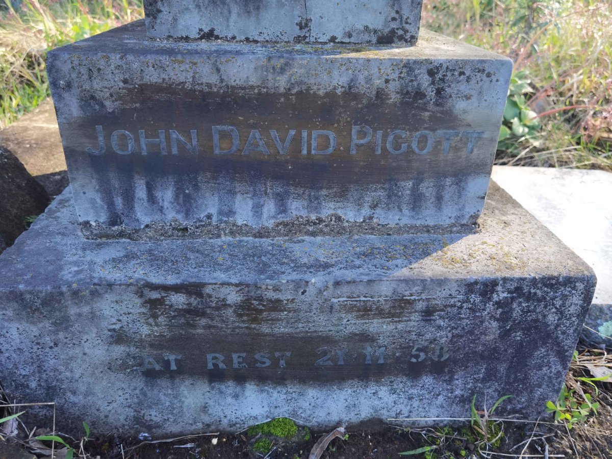 PIGOTT John David