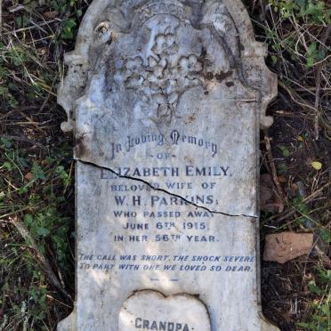 PARKINS Elizabeth Mary -1915