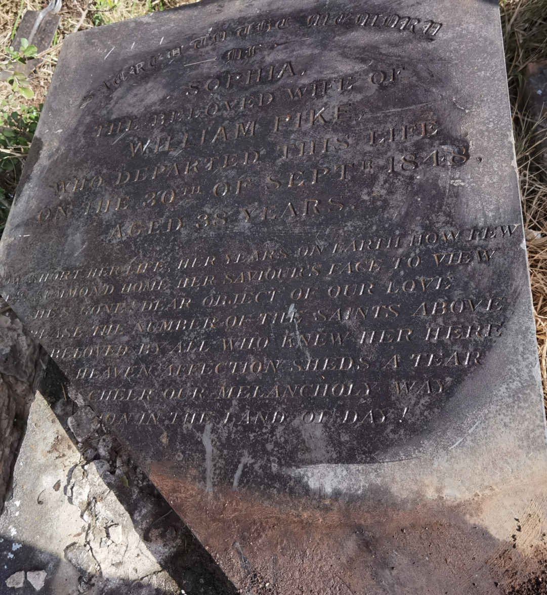 PIKE Sophia -1848 _1