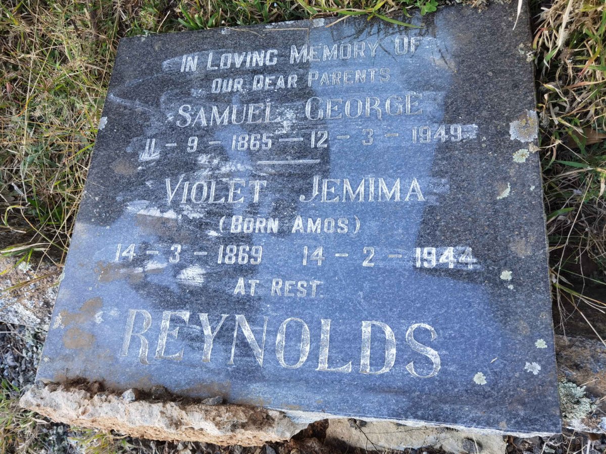 REYNOLDS Samuel George 1865-1949 &amp; Violet Jemima AMOS 1869-1944