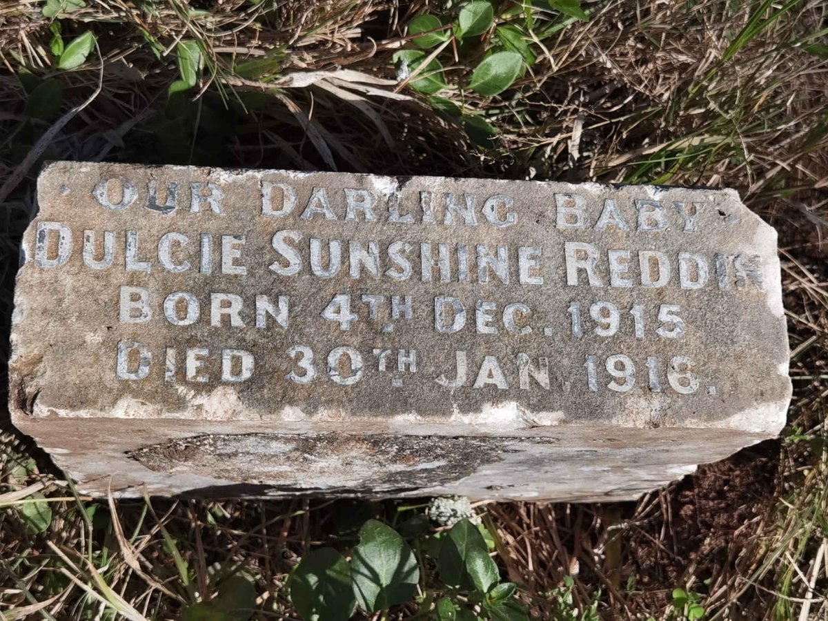 REDDIN Dulcie Sunshine 1915-1916