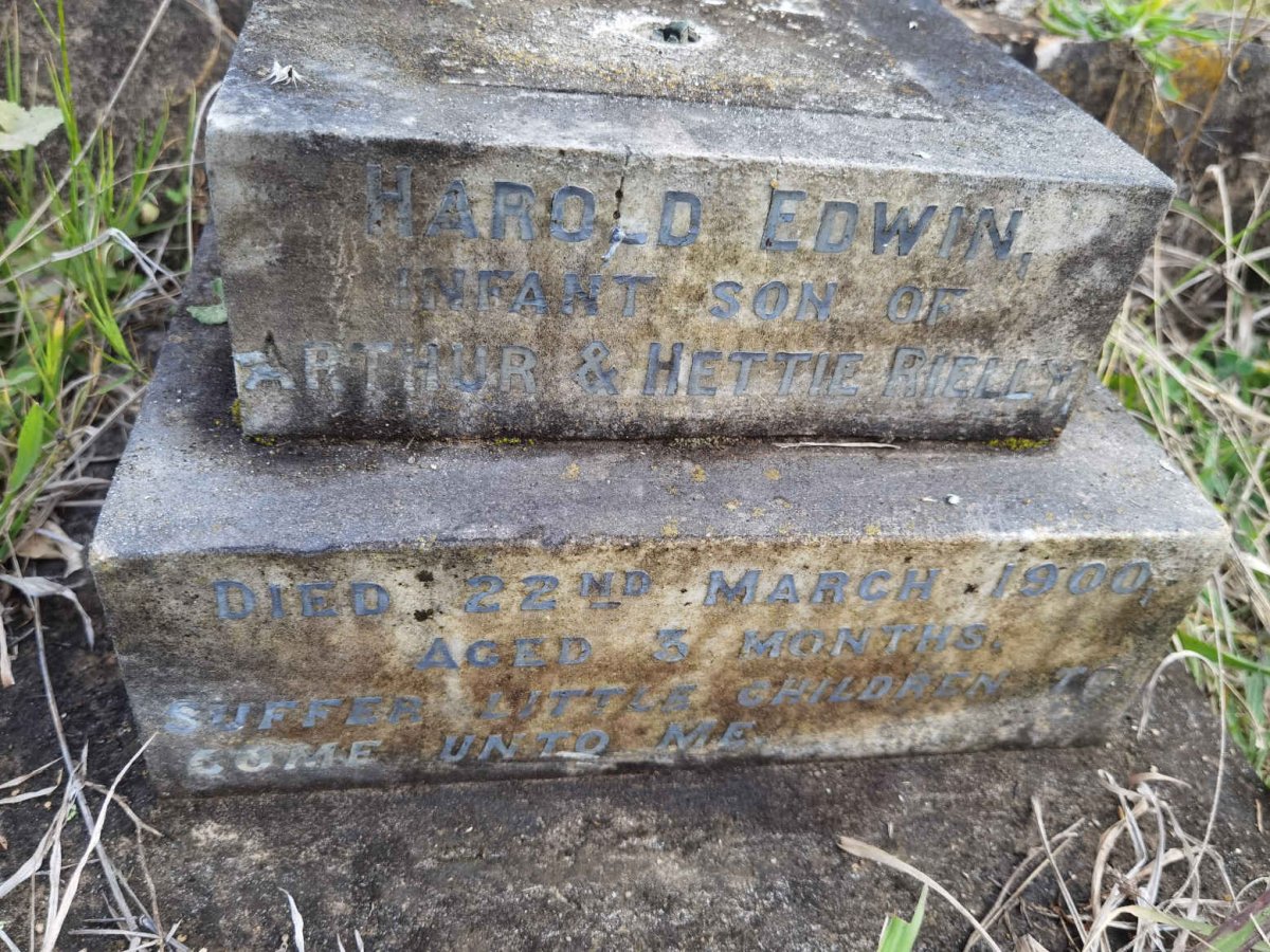RIELLY Harold Edwin -1900