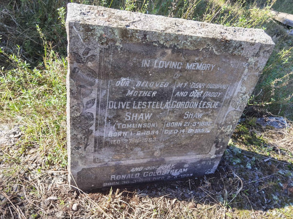 SHAW Gordon Leslie 1892-1957 &amp; Olive Lestella TOMLINSON 1894-1963 :: SHAW Ronald Coldstream 1923-1923
